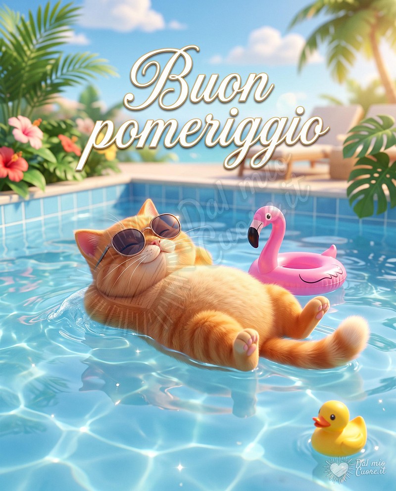 Buon pomeriggio estivo con gatto in piscina