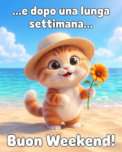 Un'illustrazione digitale di un adorabile gattino indossa un cappello da sole di paglia marrone chiaro. Il gattino tiene un girasole giallo-arancione con uno stelo verde nella sua zampa sinistra. È posizionato su una spiaggia di sabbia dorata, con il mare turchese e cristallino sullo sfondo e un cielo azzurro brillante. Sopra il gattino, in alto al centro, c'è la scritta  '...e dopo una lunga settimana...'. In basso al centro, la scritta 'Buon Weekend!'.  L'atmosfera generale è allegra e rilassante, tipica di un fine settimana estivo al mare.