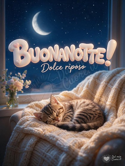 Un piccolo gattino tigrato addormentato a ciambella su una morbida coperta di lana accanto alla finestra illuminata dalla luna, con la scritta Buonanotte! Dolce riposo.