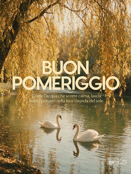Fotografia dal gusto analogico di un argine alberato con salici dorati che sfiorano l'acqua di un fiume calmo e due cigni nella luce del pomeriggio.
