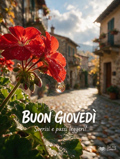 Scorcio ravvicinato di gerani scarlatti e gocce di rugiada mattutina su un antico muretto in pietra di un borgo soleggiato.