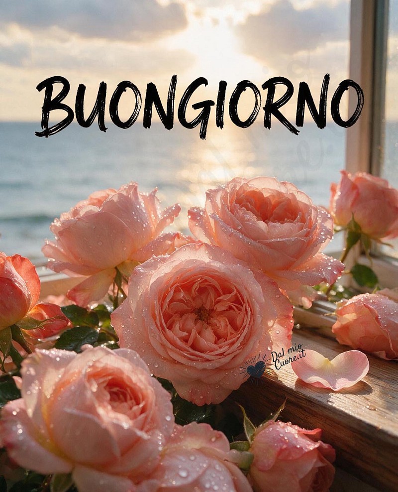 Buongiorno con rose fiorite e luce del mare