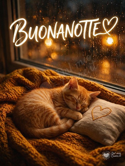 Un gattino rosso tigrato addormentato raggomitolato su una coperta di lana ocra accanto a una finestra bagnata da gocce di pioggia serale.