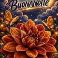 Buonanotte