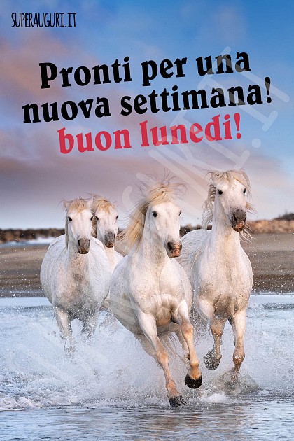 Pronti per una nuova settimana! Buon lunedì!