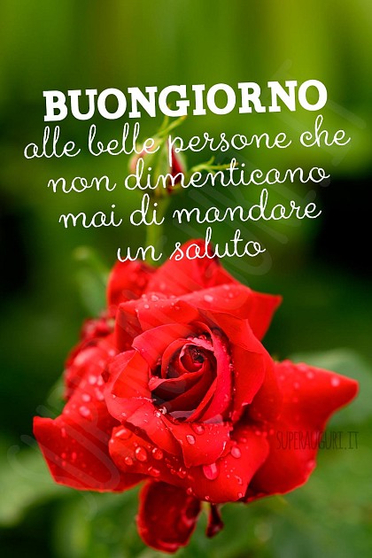 Buongiorno alle belle persone che non dimenticano mai di mandare un saluto