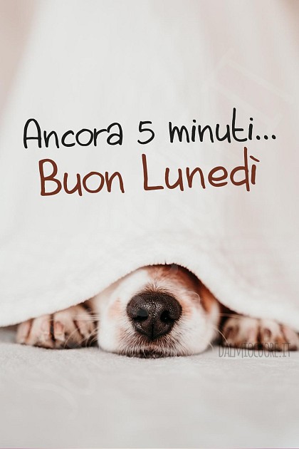 Ancora 5 minuti, buon lunedì