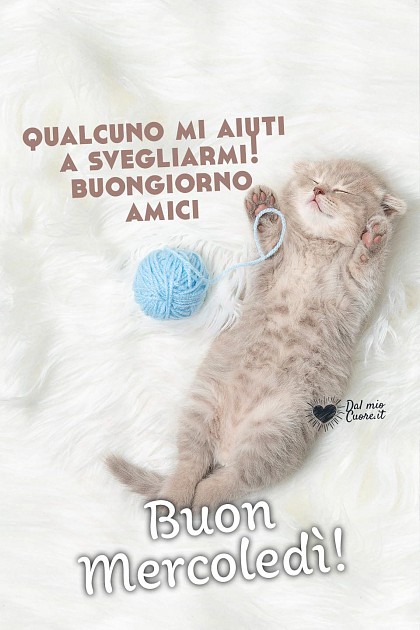 Qualcuno mi aiuti a svegliarmi! buongiorno amici. Buon mercoledì