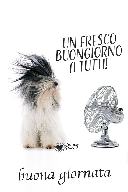 Un fresco buongiorno a tutti! Buona giornata