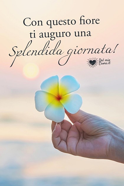 Con questo fiore ti auguro una splendida giornata!