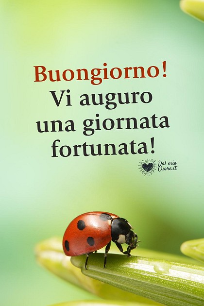 Buongiorno! Vi auguro una giornata fortunata!