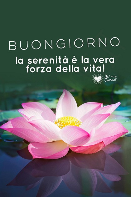 La serenità è la vera forza della vita!