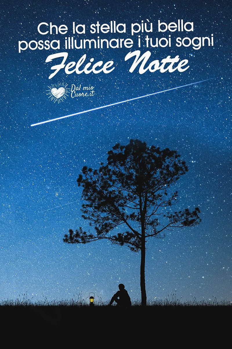 Che la stella più bella possa illuminare i tuoi sogni. Felice Notte