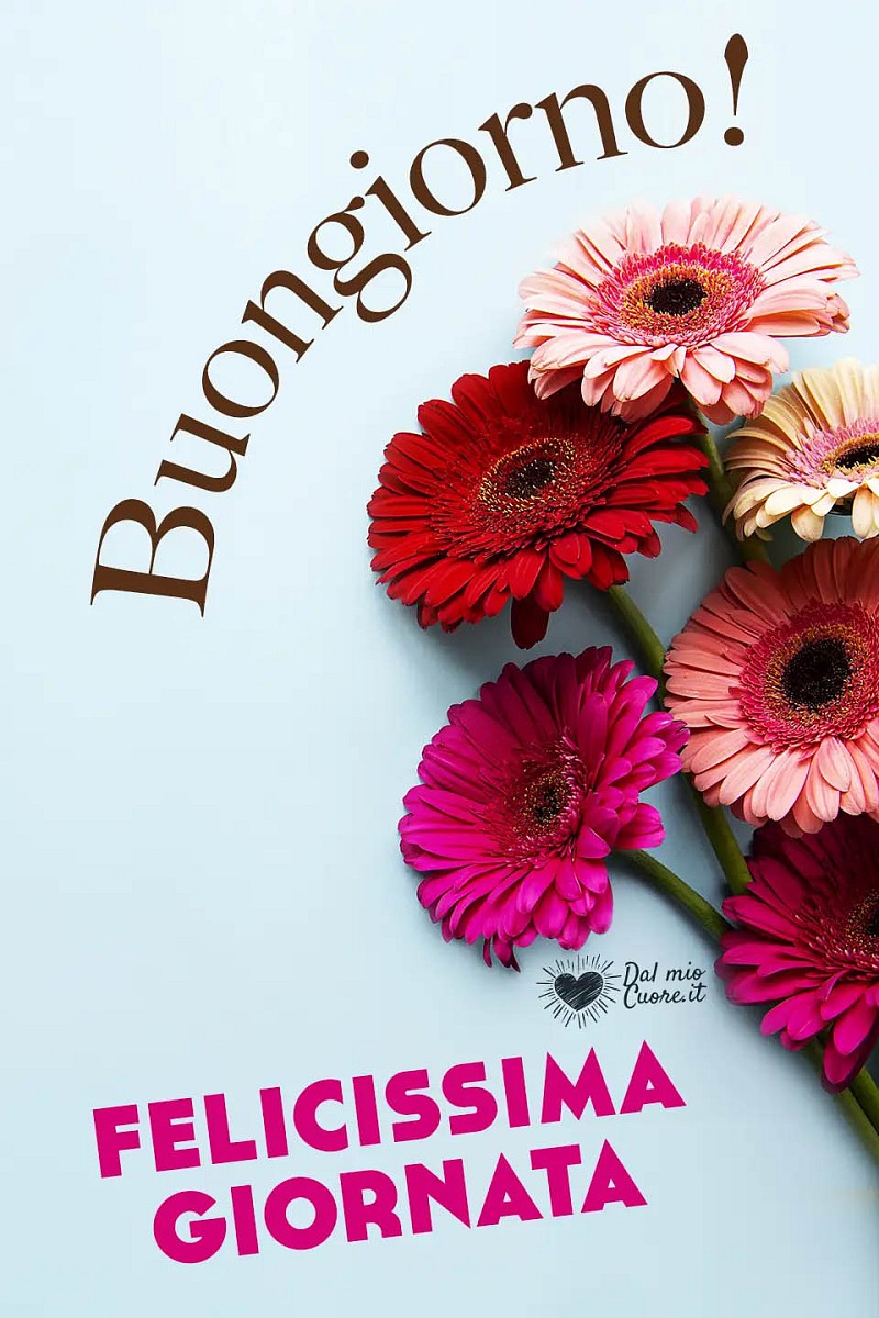 Buongiorno! Felicissima giornata