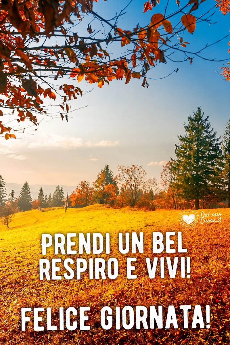 Prendi un bel respiro e vivi! Felice giornata!