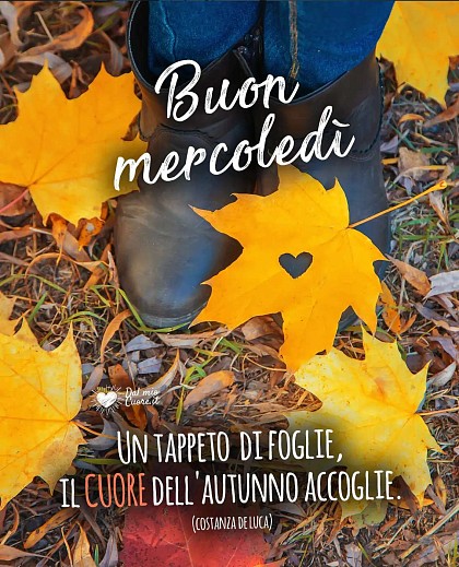 Un tappeto di foglie, il CUORE dell'autunno accoglie. Buon mercoledì