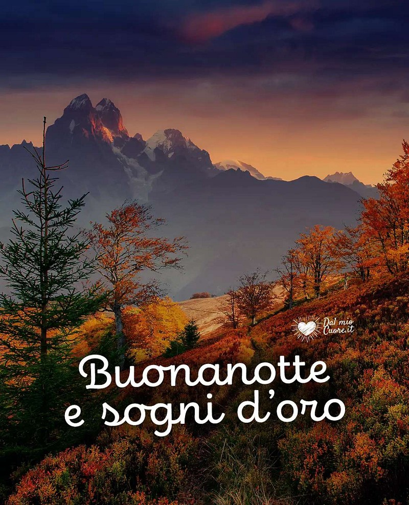 Buonanotte e sogni d'oro