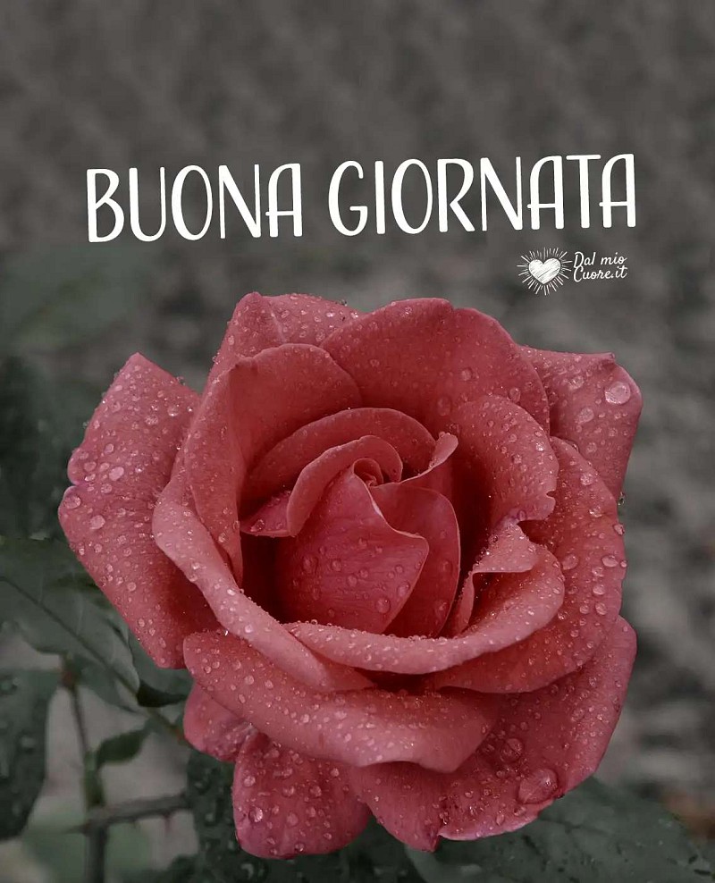 Buona giornata (di pioggia)