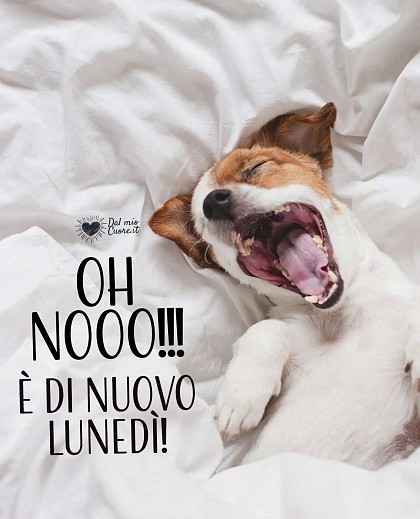 Oh nooo! È di nuovo lunedì!