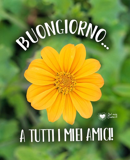 Buongiorno... a tutti i miei amici!