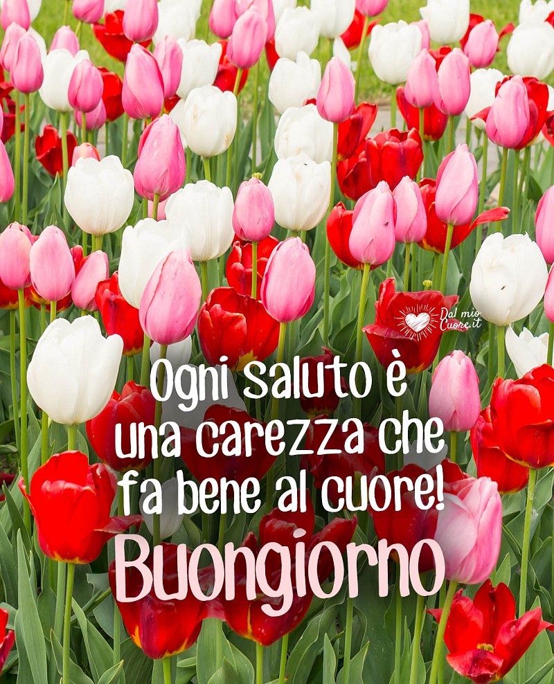 Buongiorno Affettuoso: Ogni saluto è una carezza che fa bene al cuore