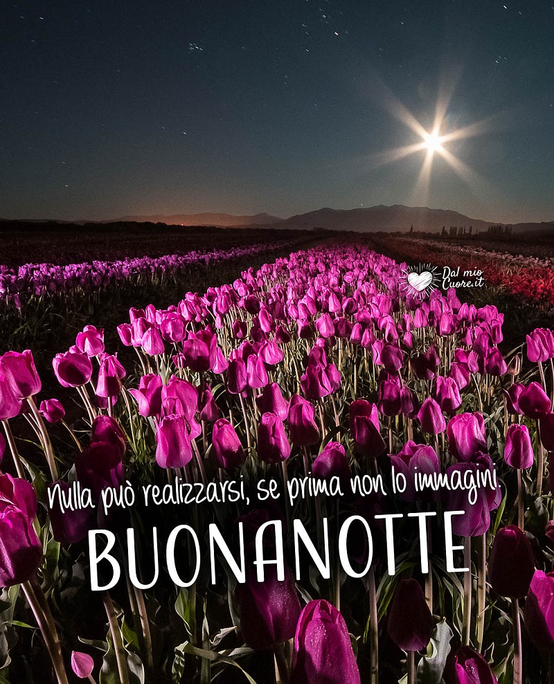 Nulla può realizzarsi, se prima non lo immagini Buonanotte