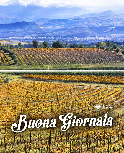 Buona giornata (autunnale)