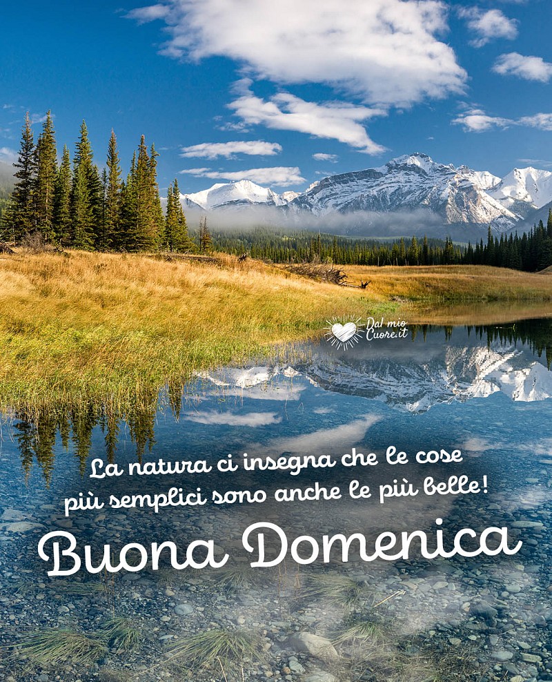 La natura ci insegna che le cose più semplici sono anche le più belle. Buona domenica