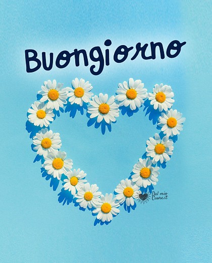 Buongiorno con un cuore di fiori di camomilla