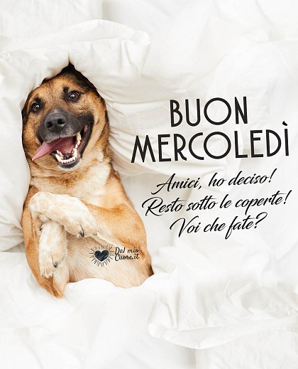 Amici, ho deciso! Resto sotto le coperte! Voi che fate? Buon Mercoledi