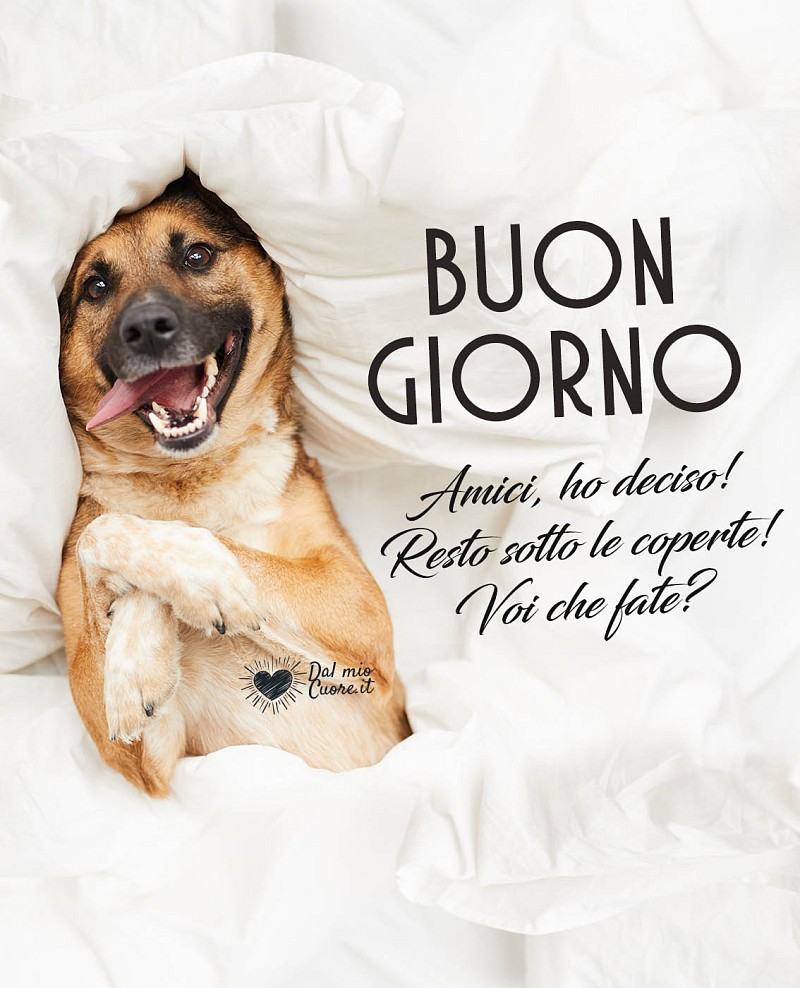 Amici, ho deciso! Resto sotto le coperte! Voi che fate? Buon giorno