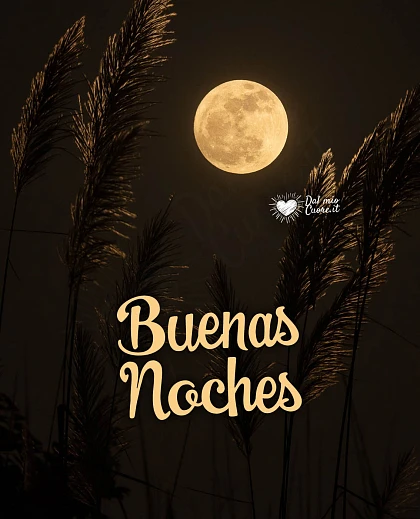 Buenas noches