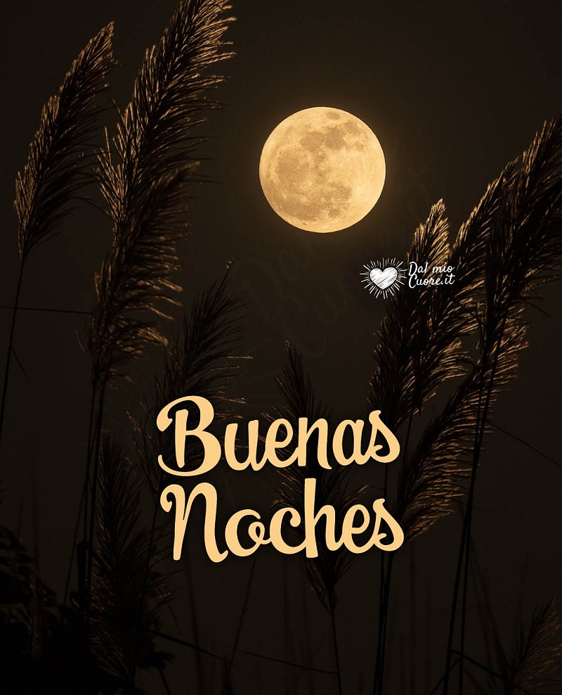 Buenas noches
