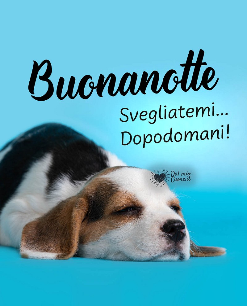 Buonanotte. Svegliatemi... dopodomani!