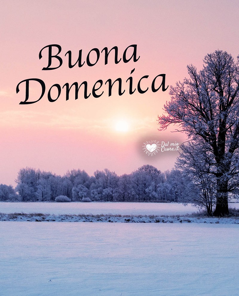 Buona domenica invernale