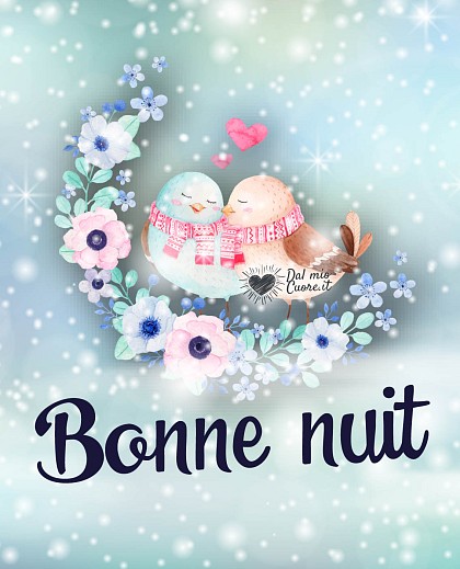 Bonne nuit d'hiver