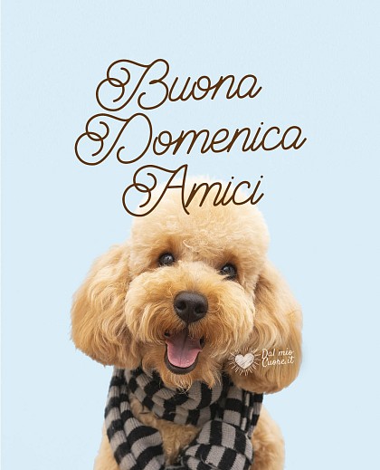 Buona domenica amici (con simpatico cagnolino)