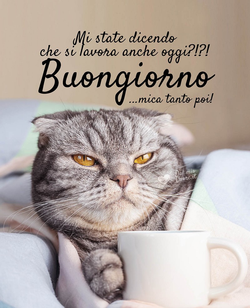 Mi state dicendo che si lavora anche oggi?!?! Buongiorno... mica tanto poi!