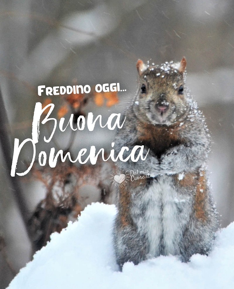 Freddino oggi... Buona domenica