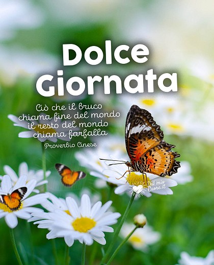 Ciò che il bruco chiama fine del mondo il resto del mondo chiama farfalla. Dolce giornata