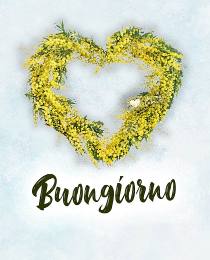 Buongiorno con cuore di mimose