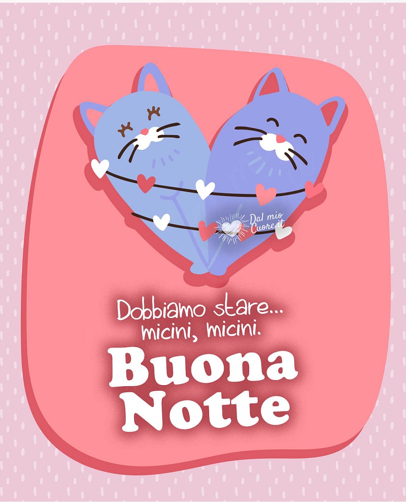 Dobbiamo stare... micini, micini. Buona Notte