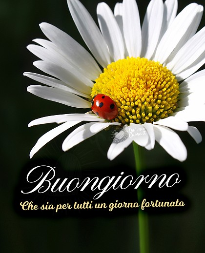 Buongiorno. Che sia per tutti un giorno fortunato
