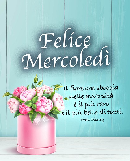 Il fiore che sboccia nelle avversità è il più raro e il più bello di tutti. Felice Mercoledì