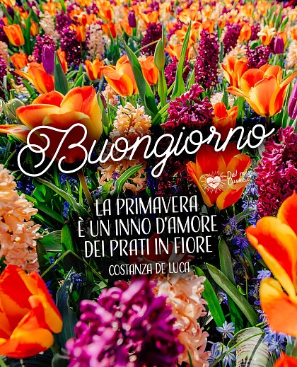 La Primavera è un inno d'amore dei prati in fiore. Buongiorno