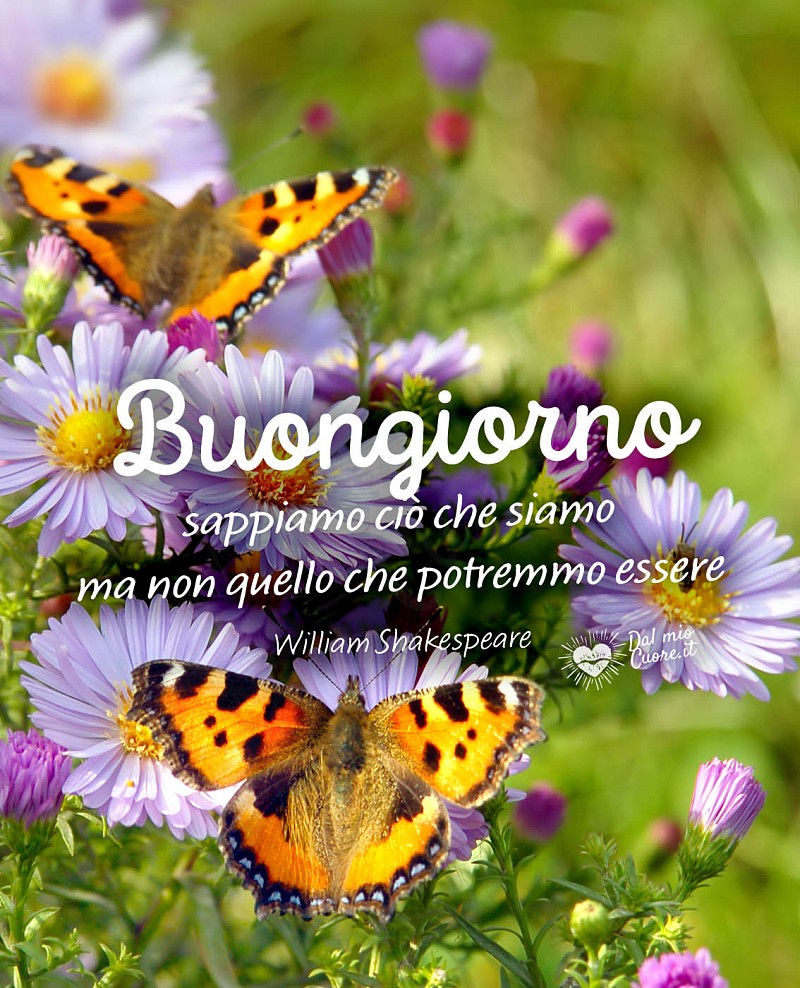 Sappiamo ciò che siamo ma non quello che potremmo essere. Buongiorno