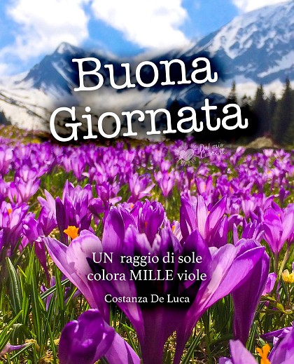 UN raggio di sole colora MILLE viole. Buona Giornata