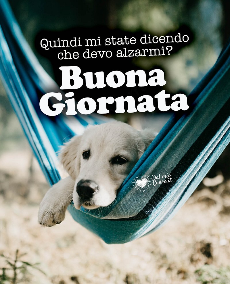 Buongiorno Divertente con Cagnolino: Mi state dicendo che devo alzarmi?