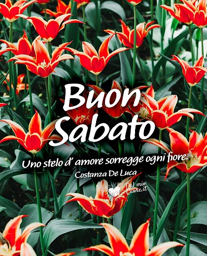Uno stelo d'amore sorregge ogni fiore. Buon Sabato