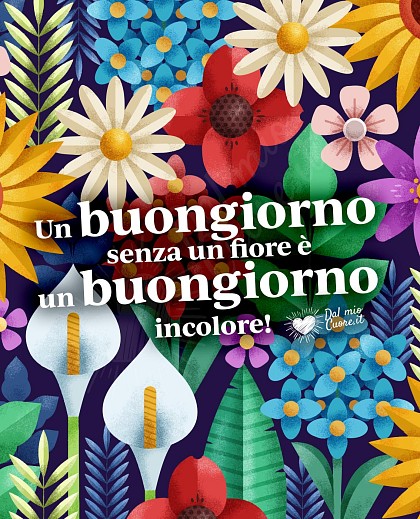 Un buongiorno senza un fiore è un buongiorno incolore